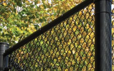 Spectra Color Chain Link Fencing
